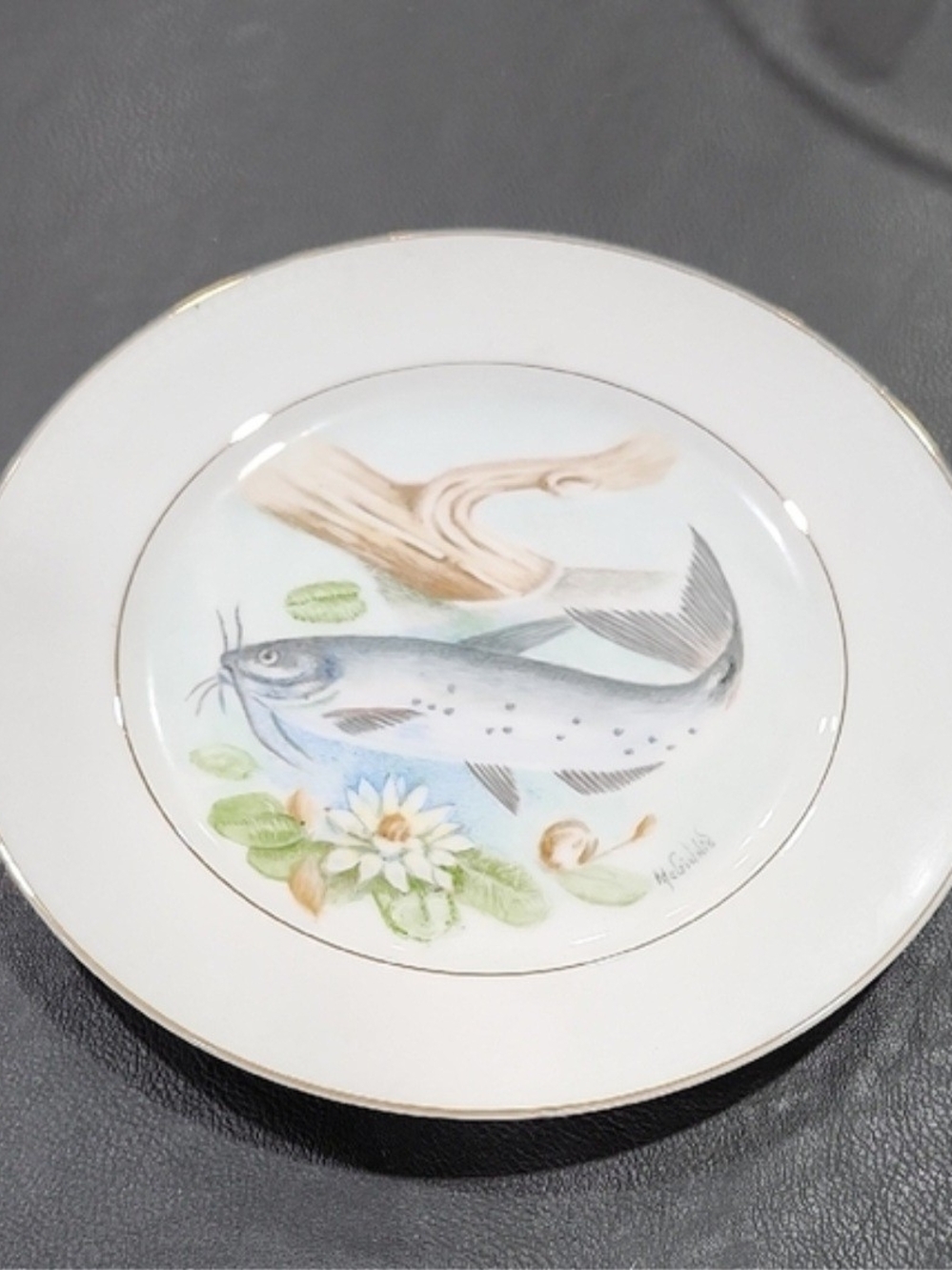 Vintage Queen Anne Fine China Decorative Plate